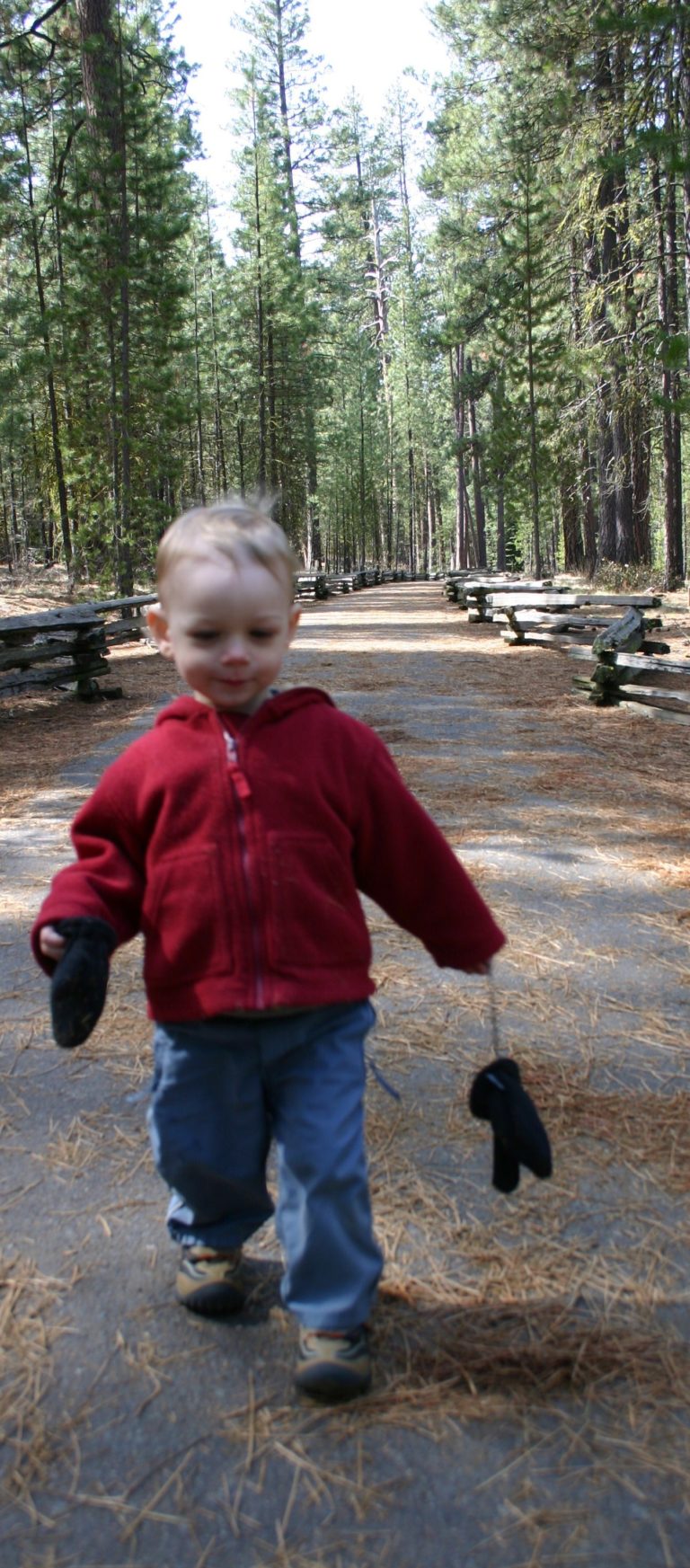 Out of the Wild: A humorous attempt to introduce my child to the wilderness #naturedeficitdisorder #childhood #nature