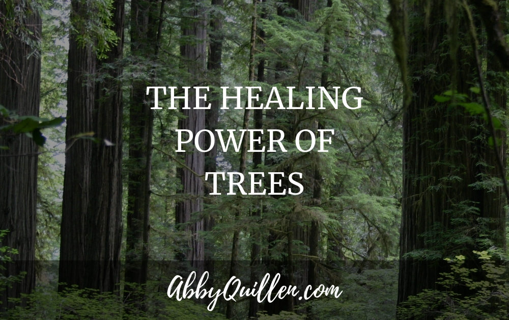 The Healing Power of Trees