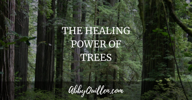 The Healing Power of Trees
