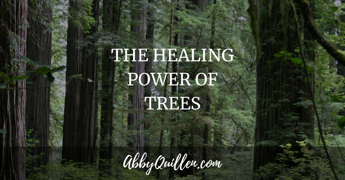 The Healing Power of Trees