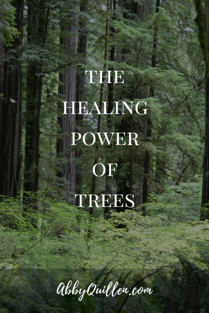 The Healing Power of Trees #plantmedicine
