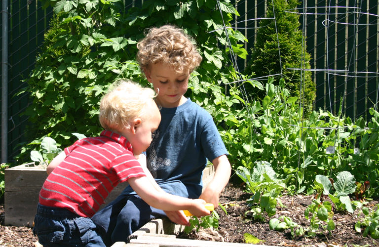 Gardening with Kids #gardening #parenting