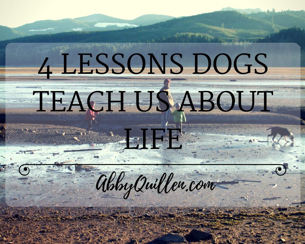 4 Lessons Dogs Teach Us About Life