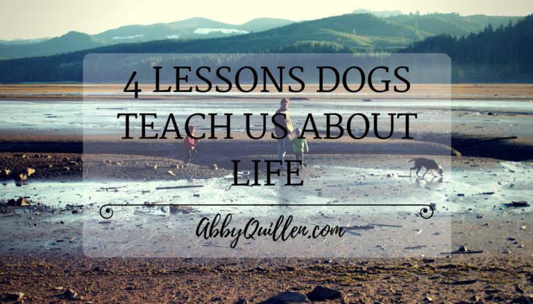 4 Lessons Dogs Teach Us About Life