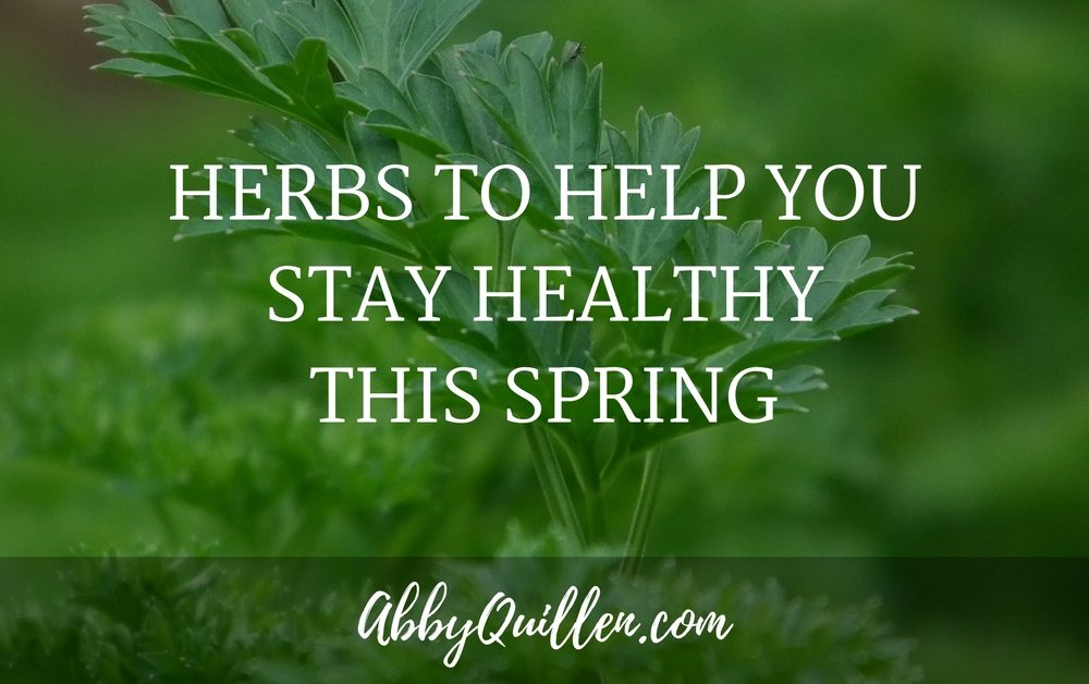 Herbs to Help You Stay Healthy This Spring