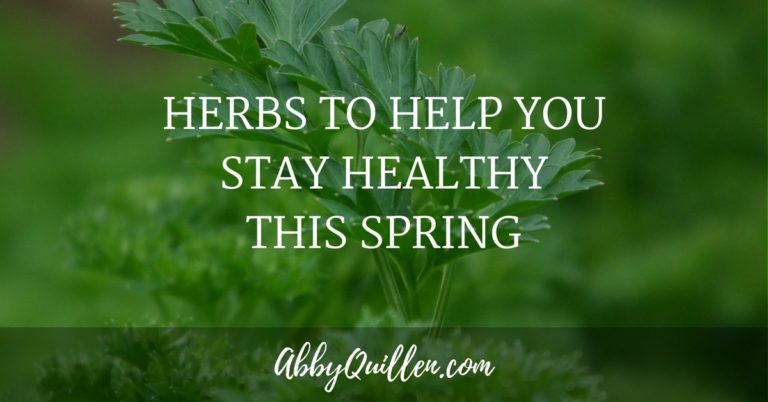 Herbs to Help You Stay Healthy This Spring