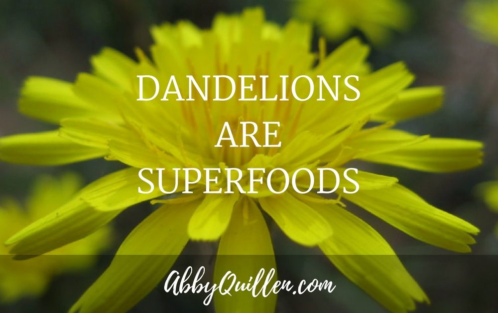 Dandelions are Superfoods