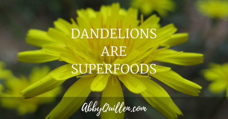 Dandelions are Superfoods