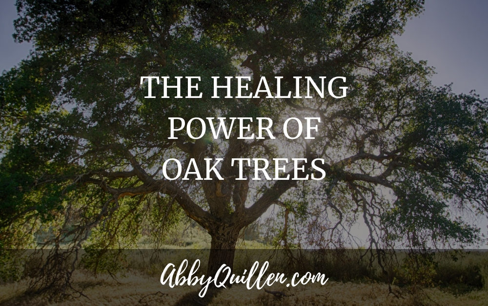 The Healing Power of Oak Trees