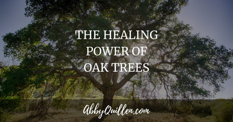 The Healing Power of Oak Trees