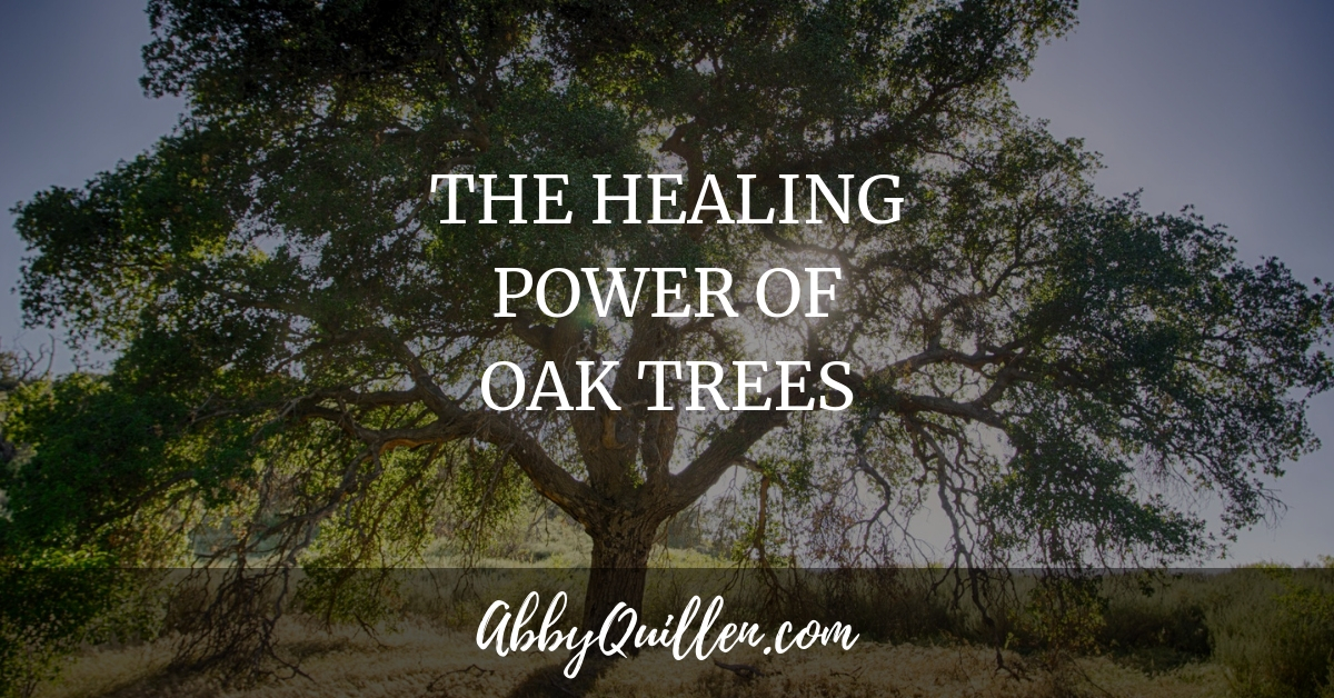 The Healing Power of Oak Trees