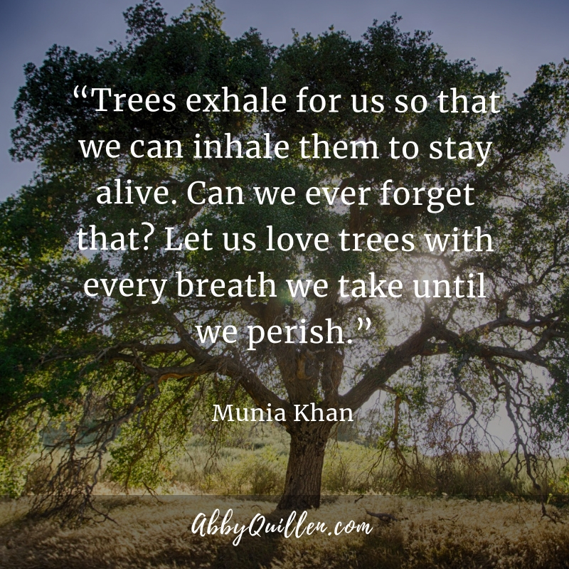   Trees exhale for us so that we can inhale them to stay alive. Can we ever forget that_ #quote #trees